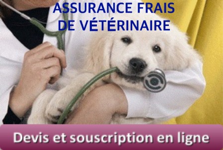 ASSURANCE FRAIS DE VETERINAIRE
